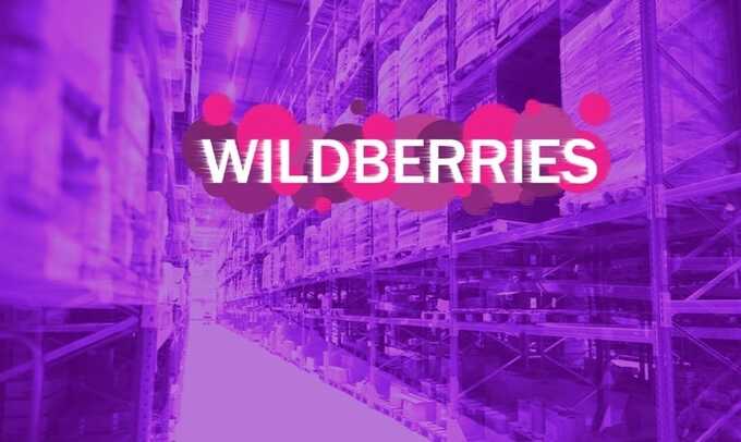 «Рейдерская спецоперация» против Wildberries во главе с прокремлевским олигархом Сулейманом Керимовым и госбанкиром Костиным